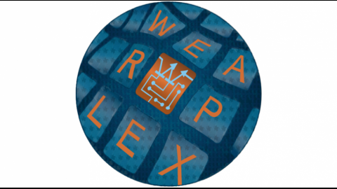 WEARPLEX Beta workshop